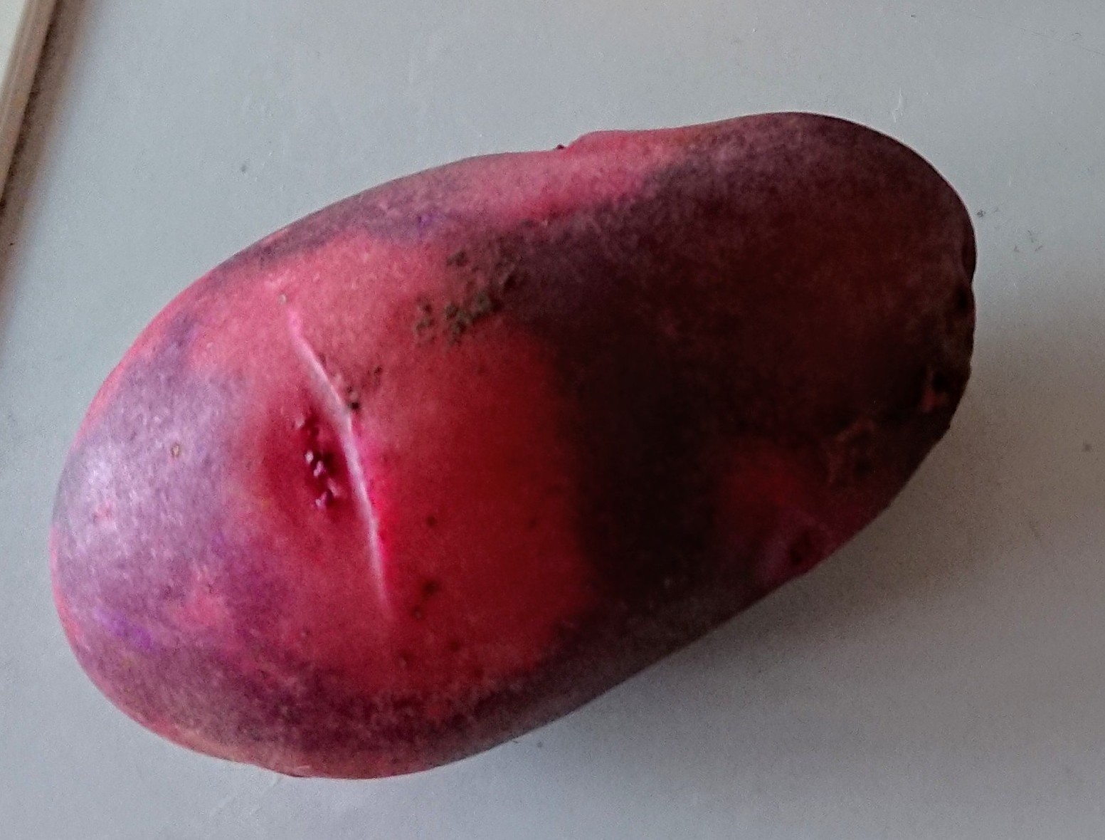 2022自然栽培じゃがいも グランドペチカ（デストロイヤー）紫×赤 2ｋｇ 長崎県産 固定・自家採種